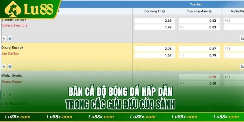 Bàn cá độ bóng đá hấp dẫn trong các giải đấu của sảnh