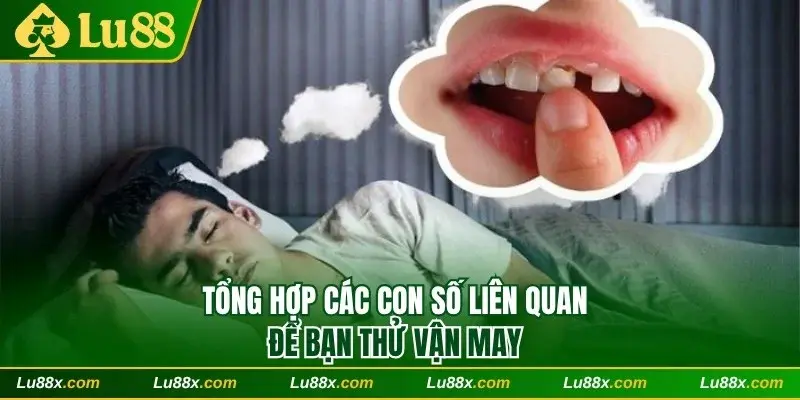 Tổng hợp các con số liên quan để bạn thử vận may